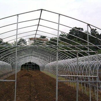 825/625养殖种植热镀锌温室大棚骨架钢管大棚配件蔬菜农用连栋棚