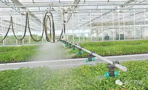 农业物联网技术在温室大棚生产不同阶段的应用