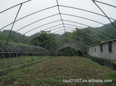 【多种高品质的 大棚骨架、大棚配件、大棚钢管、蔬菜大棚】价格,厂家,图片,温室、大棚设施,惠山区西漳育农农用大棚管厂